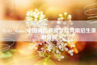 澄迈中国消防救援学院河南招生录取分数