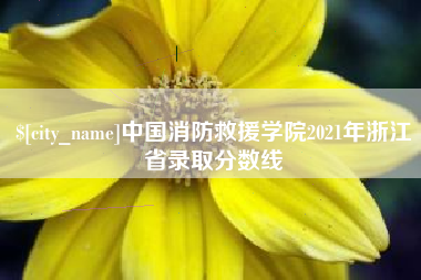 澄迈中国消防救援学院2021年浙江省录取分数线