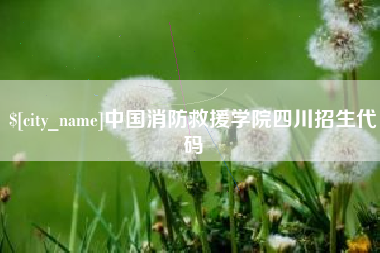 澄迈中国消防救援学院四川招生代码