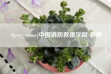 澄迈中国消防救援学院 老师