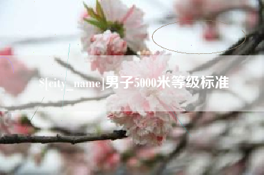 澄迈男子5000米等级标准