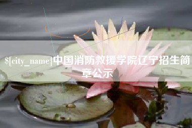 澄迈中国消防救援学院辽宁招生简章公示