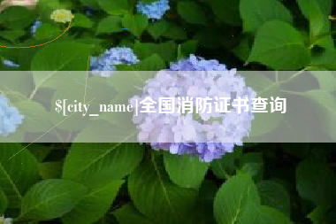 澄迈全国消防证书查询