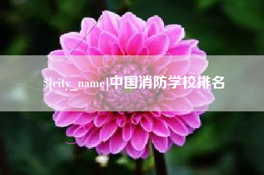 澄迈中国消防学校排名