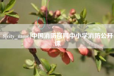 澄迈中国消防官网中小学消防公开课
