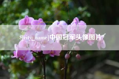 澄迈中国冠军头像图片