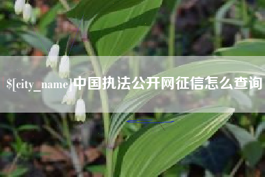 澄迈中国执法公开网征信怎么查询