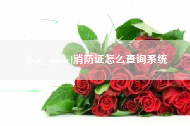 澄迈消防证怎么查询系统