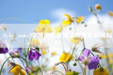 澄迈中国消防救援学院有年龄限制吗