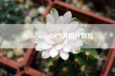 澄迈2021消防分数线