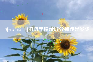 澄迈消防学校录取分数线是多少
