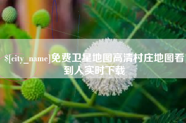 澄迈免费卫星地图高清村庄地图看到人实时下载