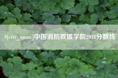 澄迈中国消防救援学院2018分数线