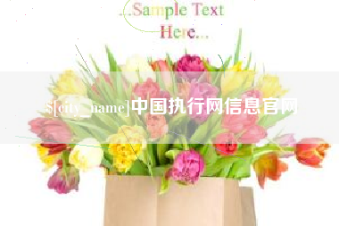 澄迈中国执行网信息官网