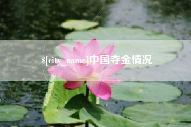 澄迈中国夺金情况