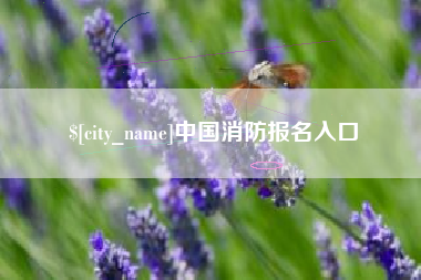 澄迈中国消防报名入口