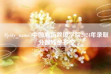 澄迈中国消防救援学院2024年录取分数线是多少