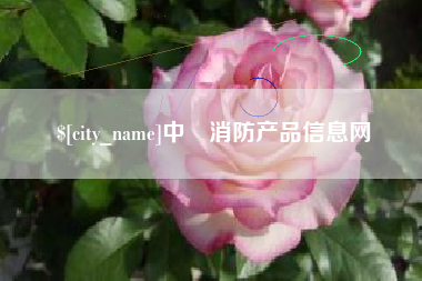 澄迈中囯消防产品信息网
