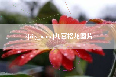 澄迈九宫格龙图片