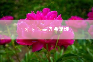 澄迈九金是谁