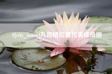 澄迈九宫格位置代表成员图