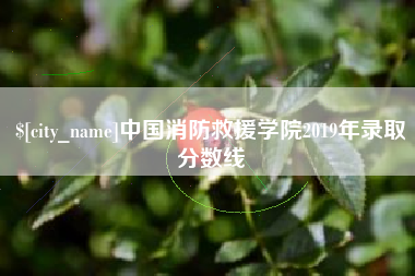 澄迈中国消防救援学院2019年录取分数线