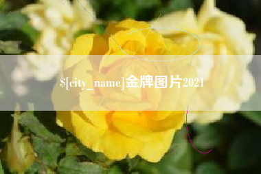澄迈金牌图片2021