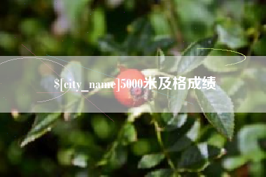 澄迈5000米及格成绩