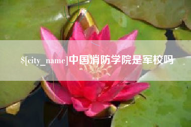 澄迈中国消防学院是军校吗