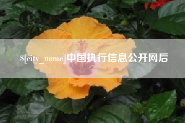澄迈中国执行信息公开网后