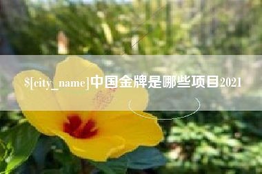 澄迈中国金牌是哪些项目2021