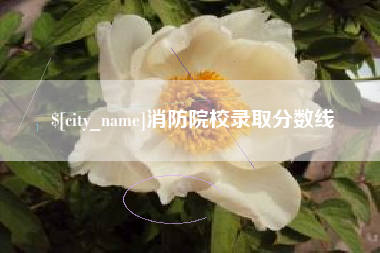 澄迈消防院校录取分数线