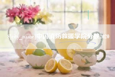 澄迈中国消防救援学院分数2020