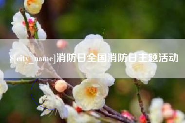 澄迈消防日全国消防日主题活动