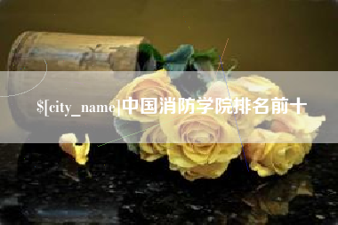 澄迈中国消防学院排名前十