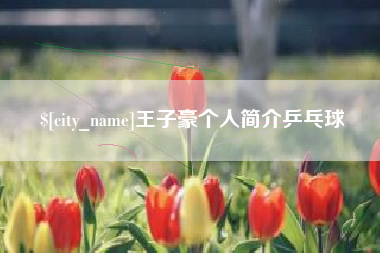 澄迈王子豪个人简介乒乓球