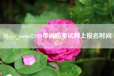 澄迈2020年消防考试网上报名时间