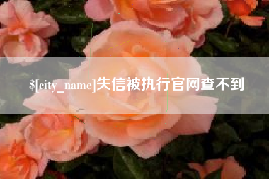 澄迈失信被执行官网查不到