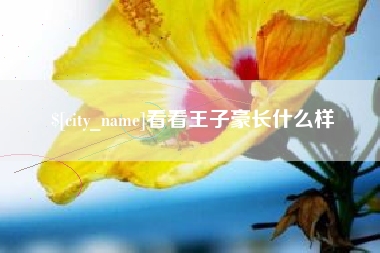 澄迈看看王子豪长什么样