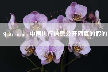 澄迈中国执行信息公开网真的假的