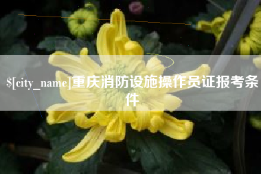 澄迈重庆消防设施操作员证报考条件