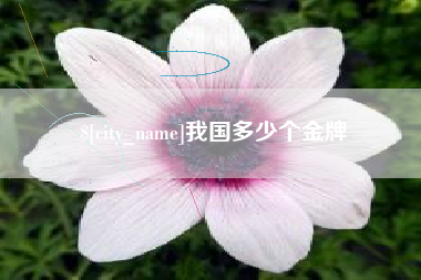 澄迈我国多少个金牌