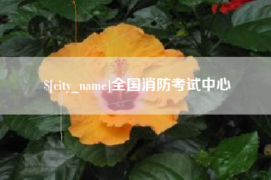 澄迈全国消防考试中心