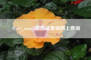 澄迈消防证查询网上查询
