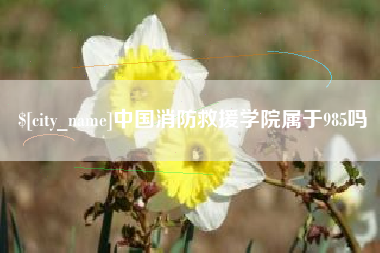 澄迈中国消防救援学院属于985吗