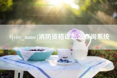 澄迈消防资格证怎么查询系统
