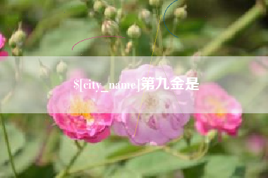 澄迈第九金是