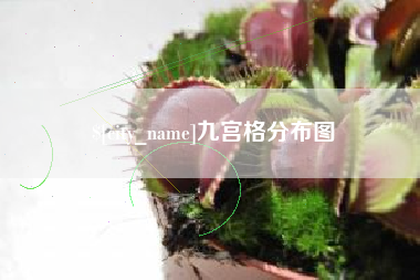 澄迈九宫格分布图