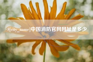 澄迈中国消防官网网址是多少