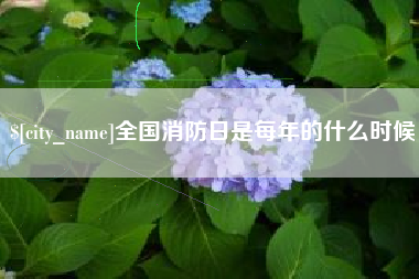 澄迈全国消防日是每年的什么时候